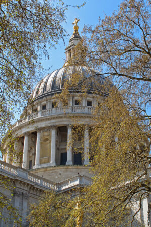 Christopher Wren's drum and dome over St Paul's Cathedral seen through spring leaves. (Ap10)