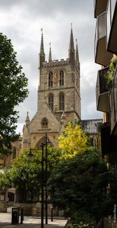 The north transept and tower of Southwark Cathedral are seen between the trees. (Aug17)
