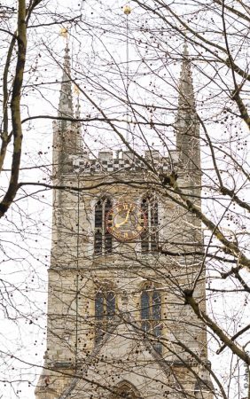 The criss-crossing of the branches and twigs partly conceal the 19th century tower of Southwark Cathedral. (Mar19)