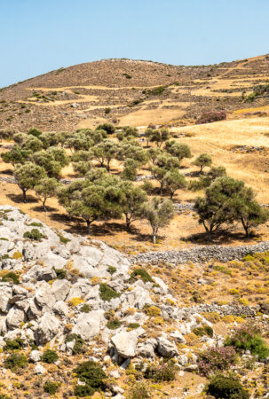 The landscape on the way to Aghios Konstantinos. (Jun22)