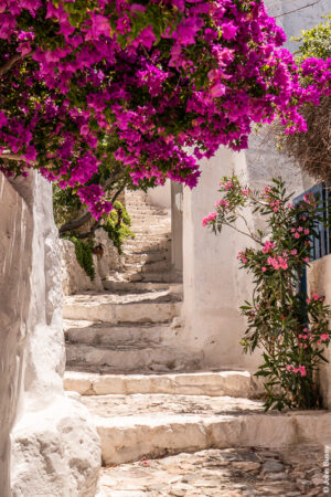 A narrow, long, winding staircase up to the castle from within the Chora. (Jun22)